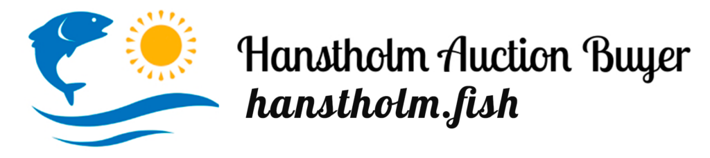 hanstholm auction buyer_logowide